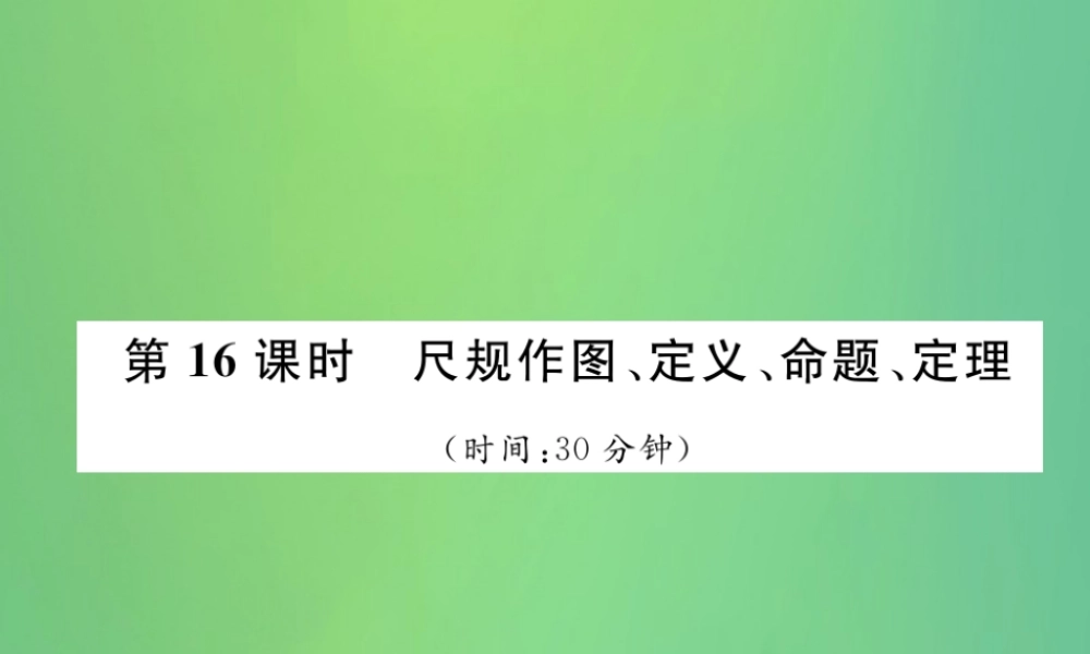 中考数学复习 第4章 图形的性质 第16课时 尺规作图、定义、命题、定理(精练)课件