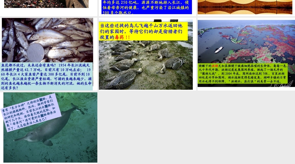 八年级地理上册第二章第三节河流与湖泊课件 人教版 课件