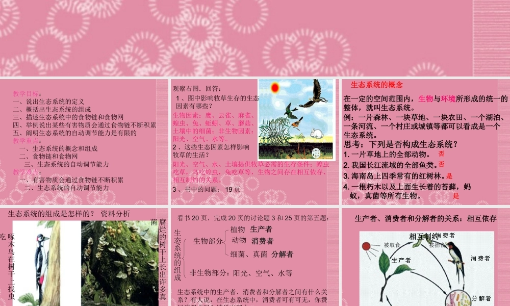 七年级生物上册_第一单元_第二章《了解生物圈》第二节《生物与环境组成生态系统》课件_(新版)新人教版