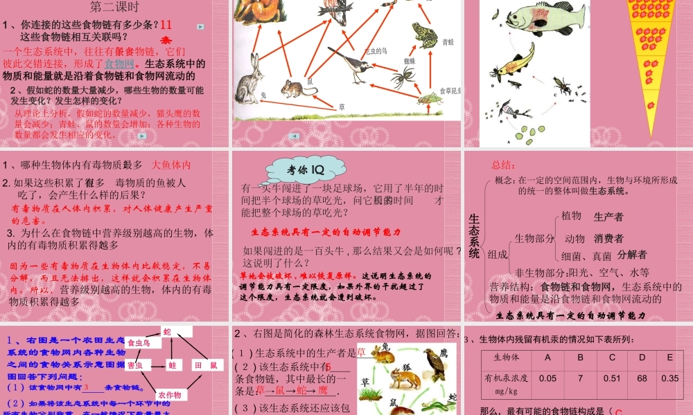 七年级生物上册_第一单元_第二章《了解生物圈》第二节《生物与环境组成生态系统》课件_(新版)新人教版