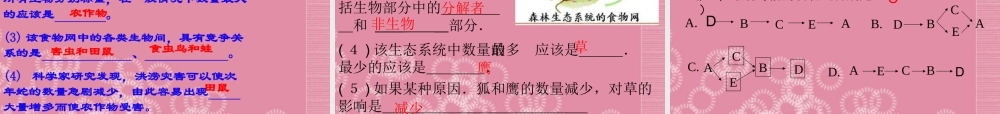 七年级生物上册_第一单元_第二章《了解生物圈》第二节《生物与环境组成生态系统》课件_(新版)新人教版