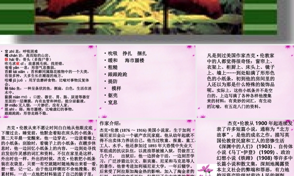 中学九年级语文下册 8(热爱生命)课件1 新人教版 课件