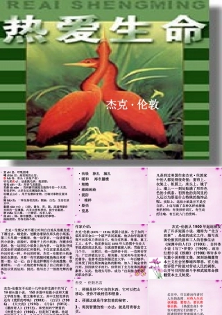 中学九年级语文下册 8(热爱生命)课件1 新人教版 课件