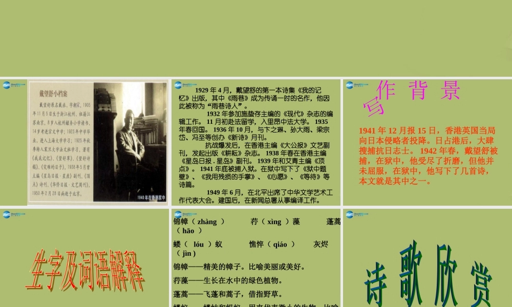 九年级语文下册 2 我用残损的手掌课件11 新人教版 课件