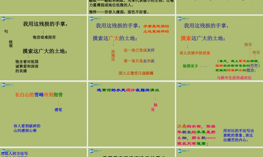 九年级语文下册 2 我用残损的手掌课件11 新人教版 课件