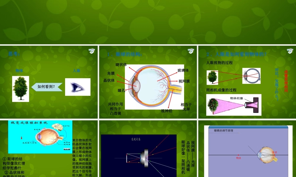 八年级物理上册(5.4 眼睛和眼镜)课件 (新版)新人教版 课件