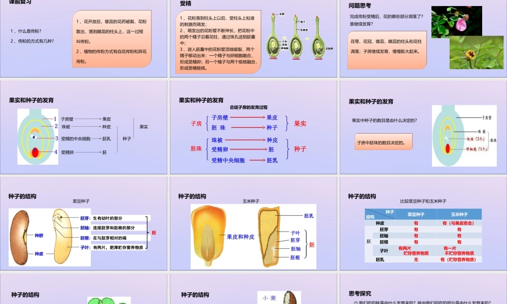 八年级生物上册 第四单元 物种的延续 第一章 绿色开花植物的一生 第三节 果实和种子的形成课件(新版)济南版 课件