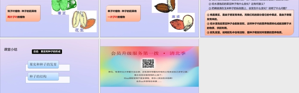 八年级生物上册 第四单元 物种的延续 第一章 绿色开花植物的一生 第三节 果实和种子的形成课件(新版)济南版 课件
