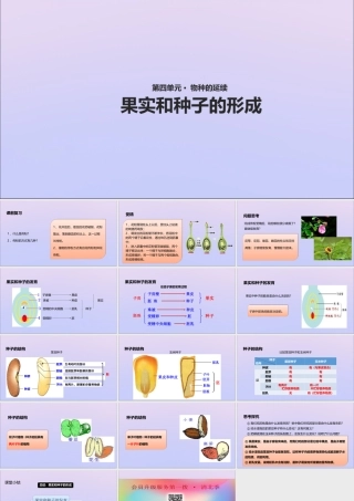 八年级生物上册 第四单元 物种的延续 第一章 绿色开花植物的一生 第三节 果实和种子的形成课件(新版)济南版 课件