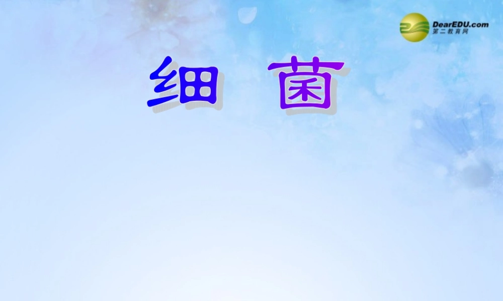 中学八年级生物上册 5.4.2 细菌课件 新人教版 课件