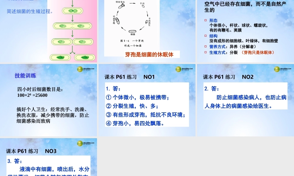 中学八年级生物上册 5.4.2 细菌课件 新人教版 课件