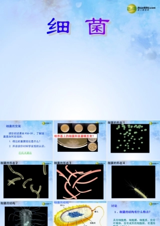中学八年级生物上册 5.4.2 细菌课件 新人教版 课件