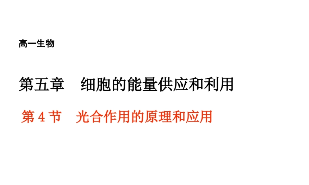 高一生物（人教版）必修一：5-4能量之源——光与光合作用课件3