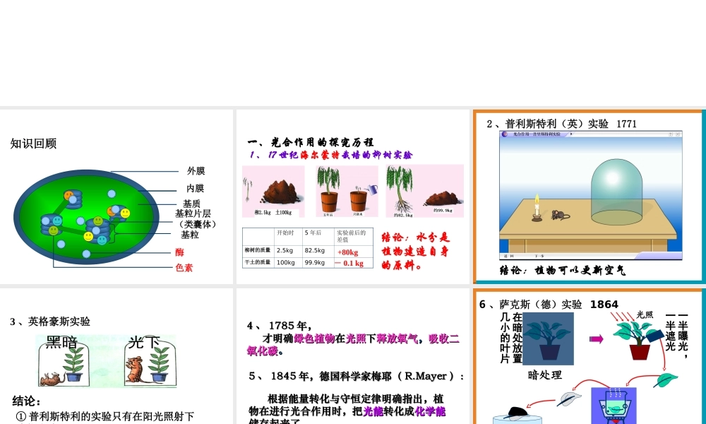 高一生物（人教版）必修一：5-4能量之源——光与光合作用课件3