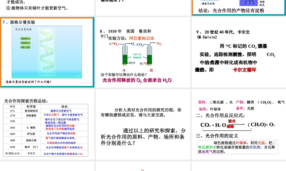 高一生物（人教版）必修一：5-4能量之源——光与光合作用课件3