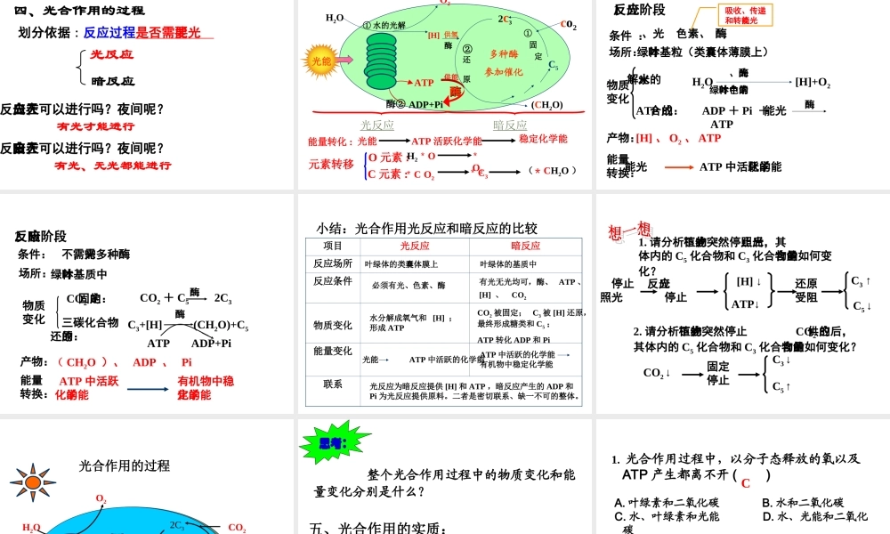 高一生物（人教版）必修一：5-4能量之源——光与光合作用课件3