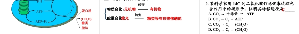 高一生物（人教版）必修一：5-4能量之源——光与光合作用课件3