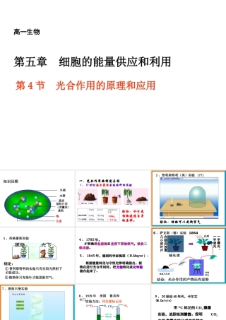 高一生物（人教版）必修一：5-4能量之源——光与光合作用课件3