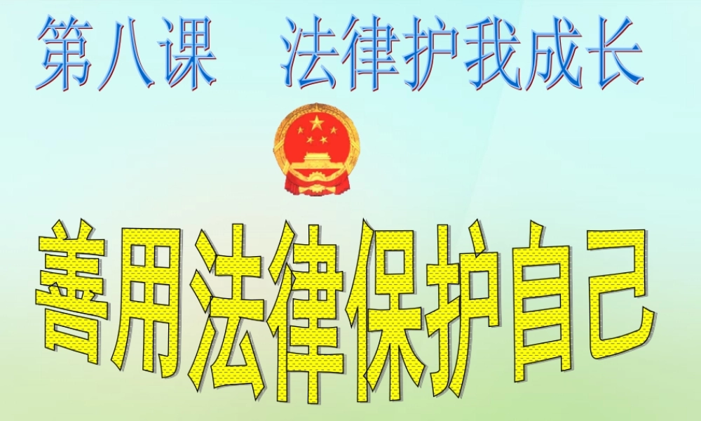 中学七年级政治下册 8.2 善用法律保护自己课件2 新人教版 课件