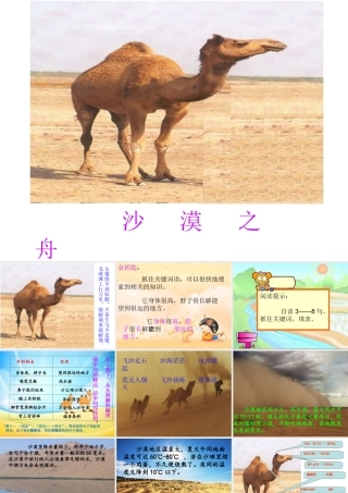 制作沙漠之舟