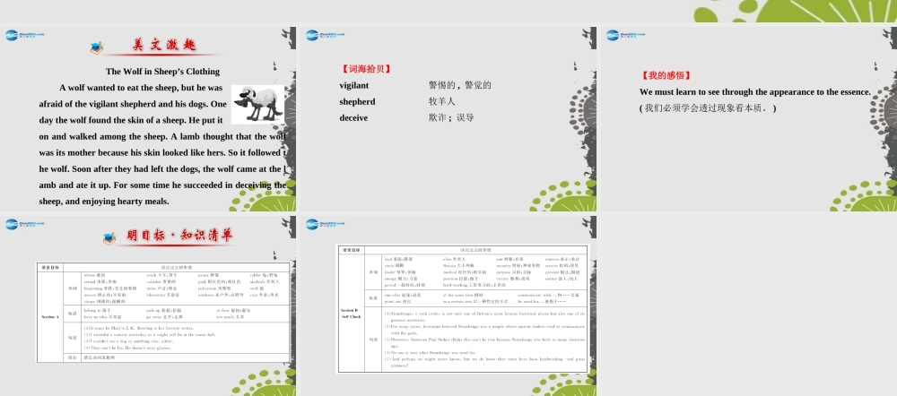 九年级英语全册 Unit 8 It must belong to Carla课件 (新版)人教新目标版 课件