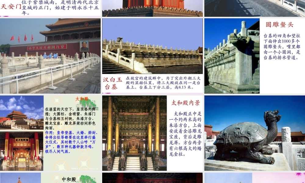 八年级语文上册 14(故宫博物院)课件2 新人教版 课件