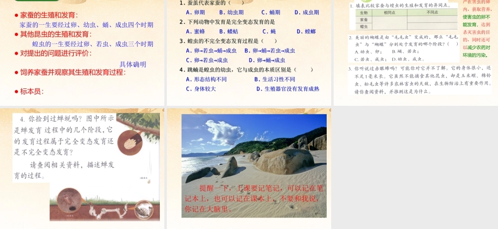 八年级生物下册 第七单元第一章(生物的生殖和发育)第二节(昆虫的生殖和发育)课件 新人教版 课件