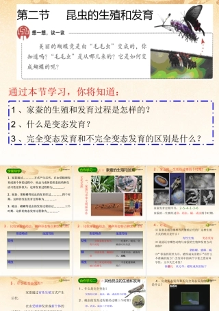 八年级生物下册 第七单元第一章(生物的生殖和发育)第二节(昆虫的生殖和发育)课件 新人教版 课件