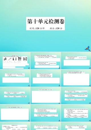 九年级英语全册 Unit 10 You re supposed to shake hands检测卷习题课件 (新版)人教新目标版 课件