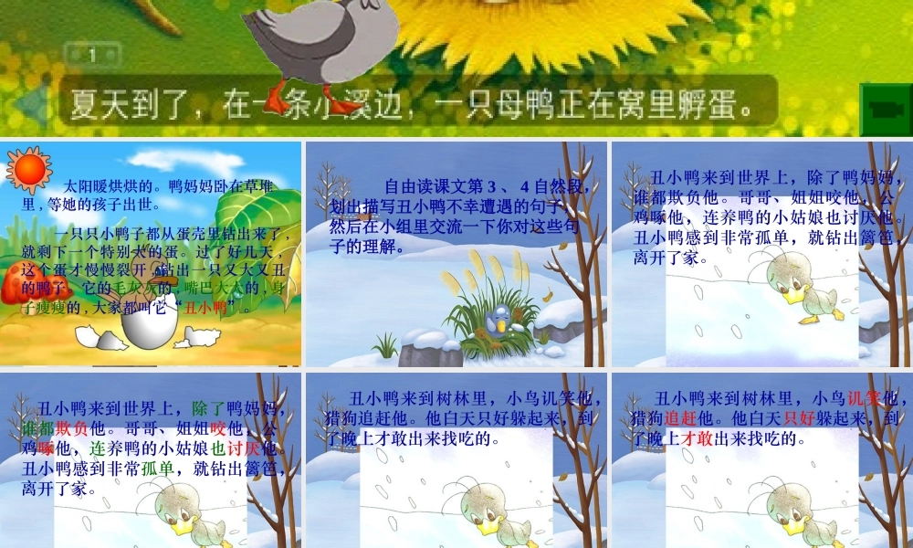 丑小鸭(1kejiancom)