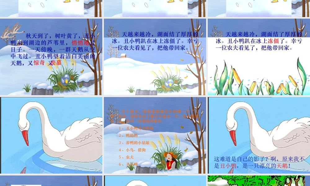 丑小鸭(1kejiancom)