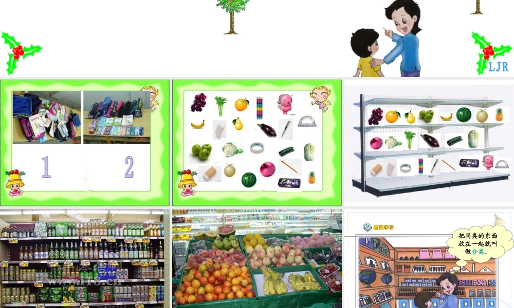 人教版一年级数学下册分类和整理课件_2 (2)