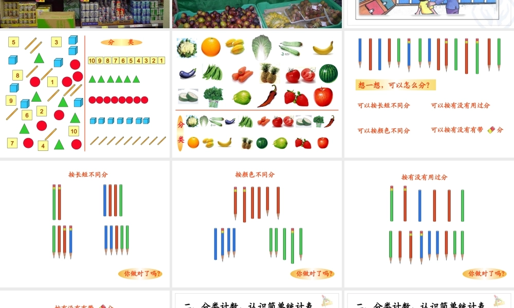 人教版一年级数学下册分类和整理课件_2 (2)