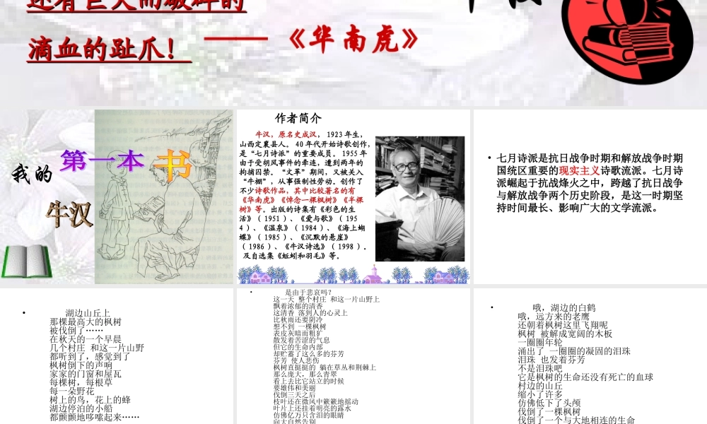 我的第一本书-课件