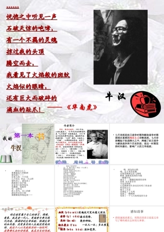 我的第一本书-课件