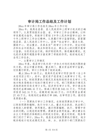 审计局工作总结及工作计划