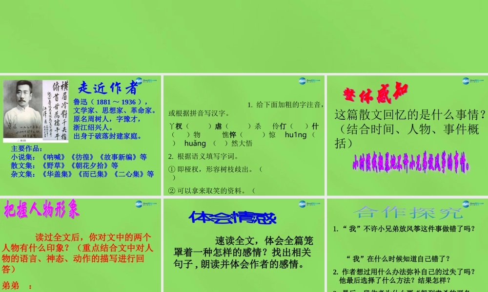 七年级语文上册 4 风筝课件 语文版 课件