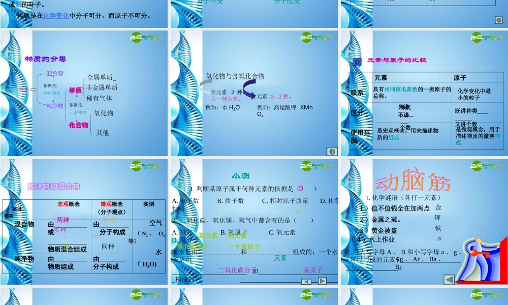 八年级化学 物质课件 鲁教版五四制 课件