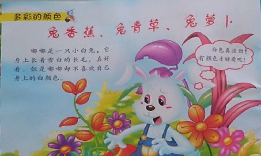 兔香蕉、兔青菜