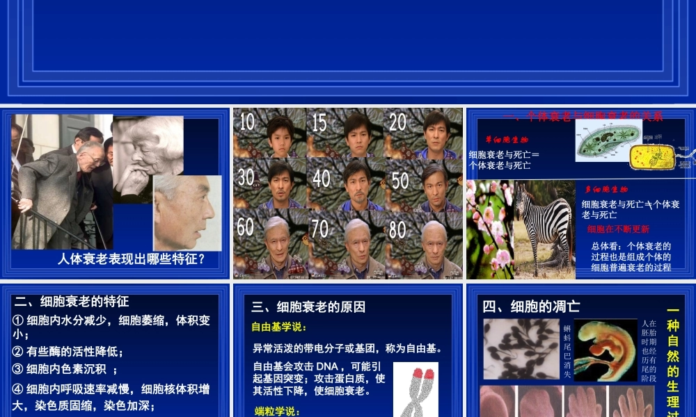 细胞的衰老和凋亡