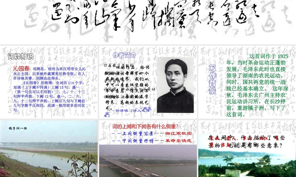 沁园春·长沙(14)