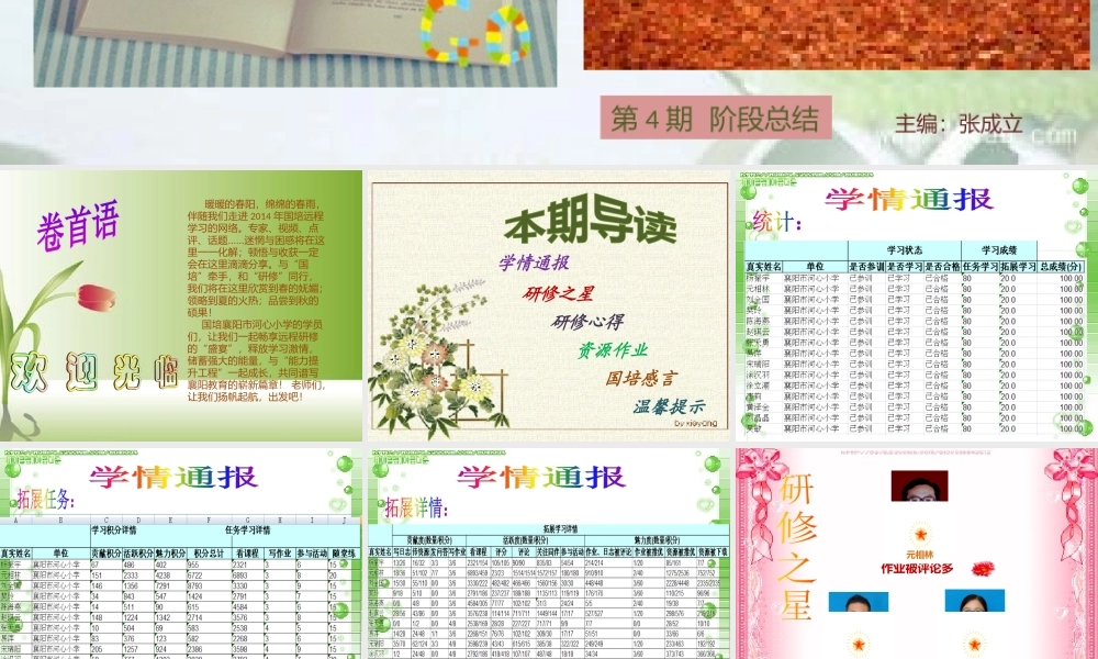 襄阳市河心小学-国培阶段总结