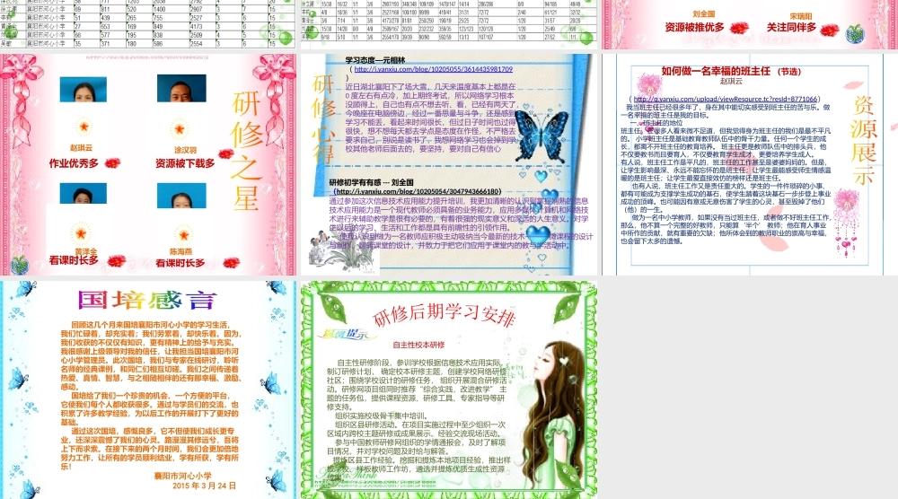 襄阳市河心小学-国培阶段总结