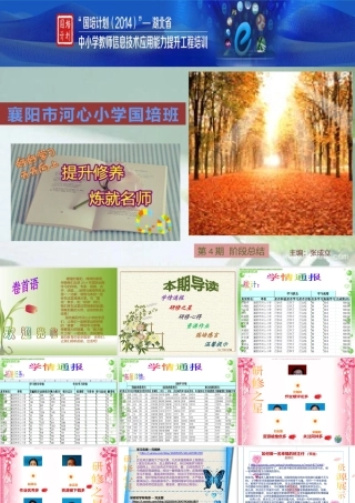 襄阳市河心小学-国培阶段总结
