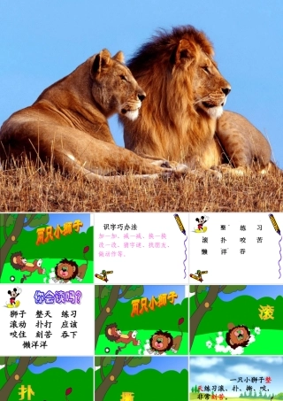 两只小狮子课件 (2)