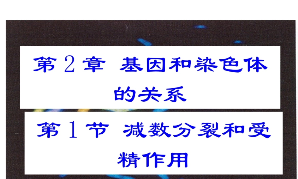 高二生物第2章第一节《减数分裂和受精作用》PPT课件[1]