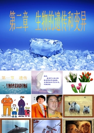 生物性状与遗传物质