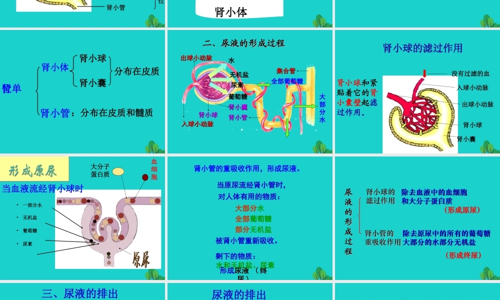 七年级生物下册 第三单元 第四章 第一节 尿液的形成和排出课件 (新版)济南版 课件