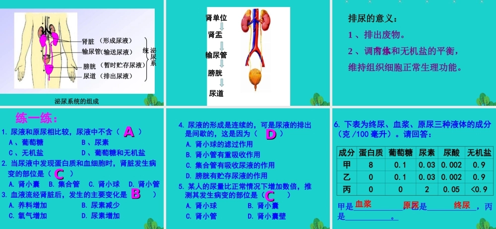 七年级生物下册 第三单元 第四章 第一节 尿液的形成和排出课件 (新版)济南版 课件