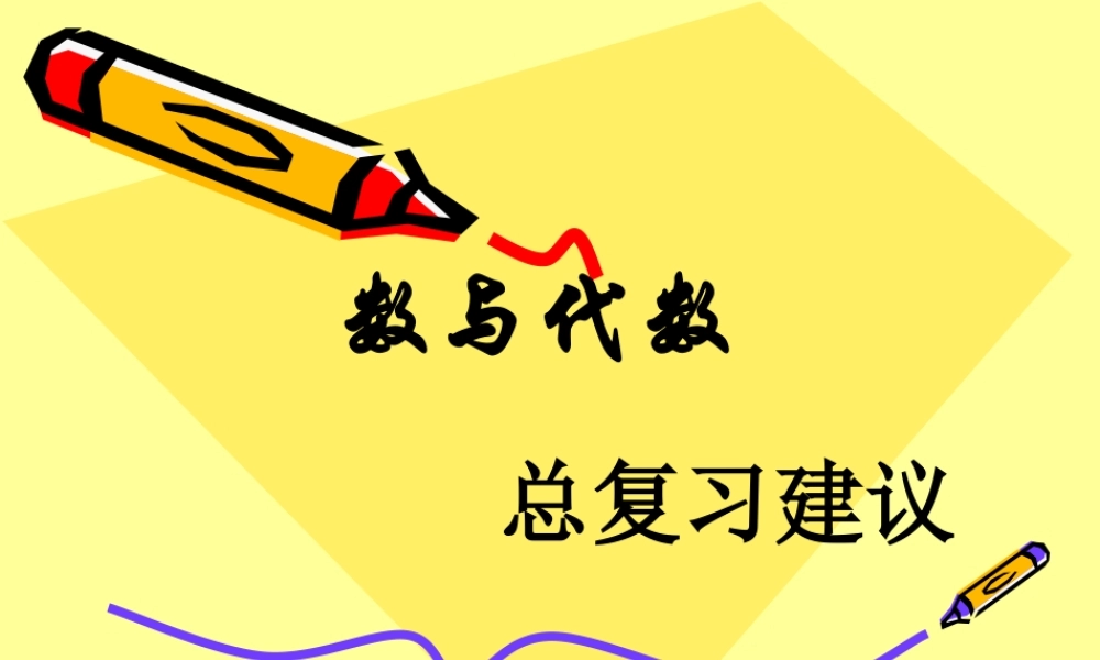 人教版小学数学六年级下册《整理和复习-数与代数》课件201204260220